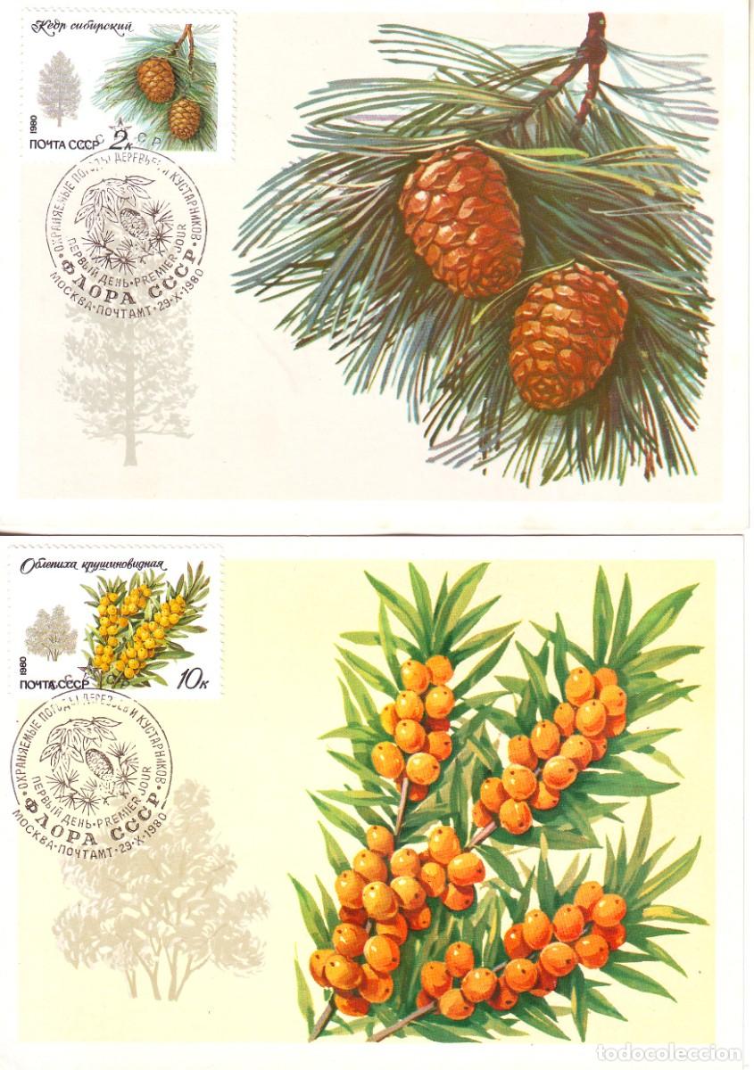Sellos: TARJETAS DE RUSIA PLANTAS - Foto 1