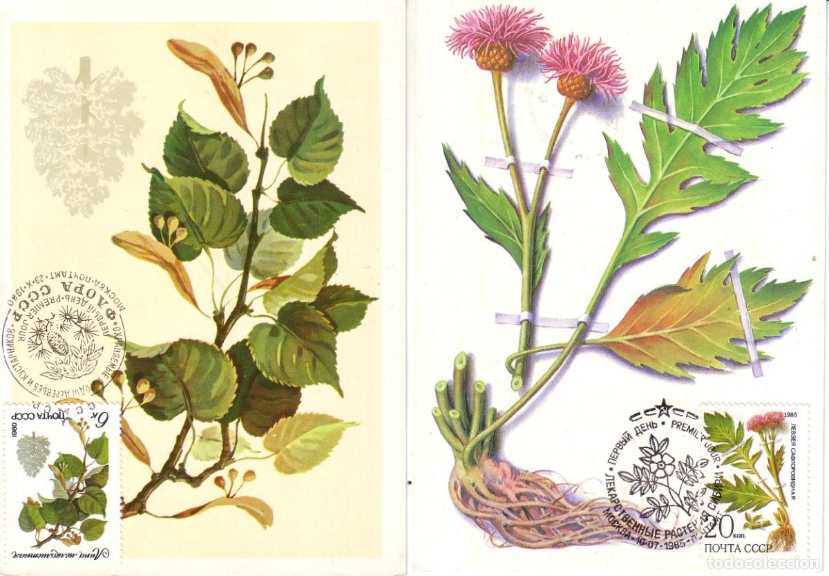 Sellos: TARJETAS RUSIA PLANTAS - Foto 1