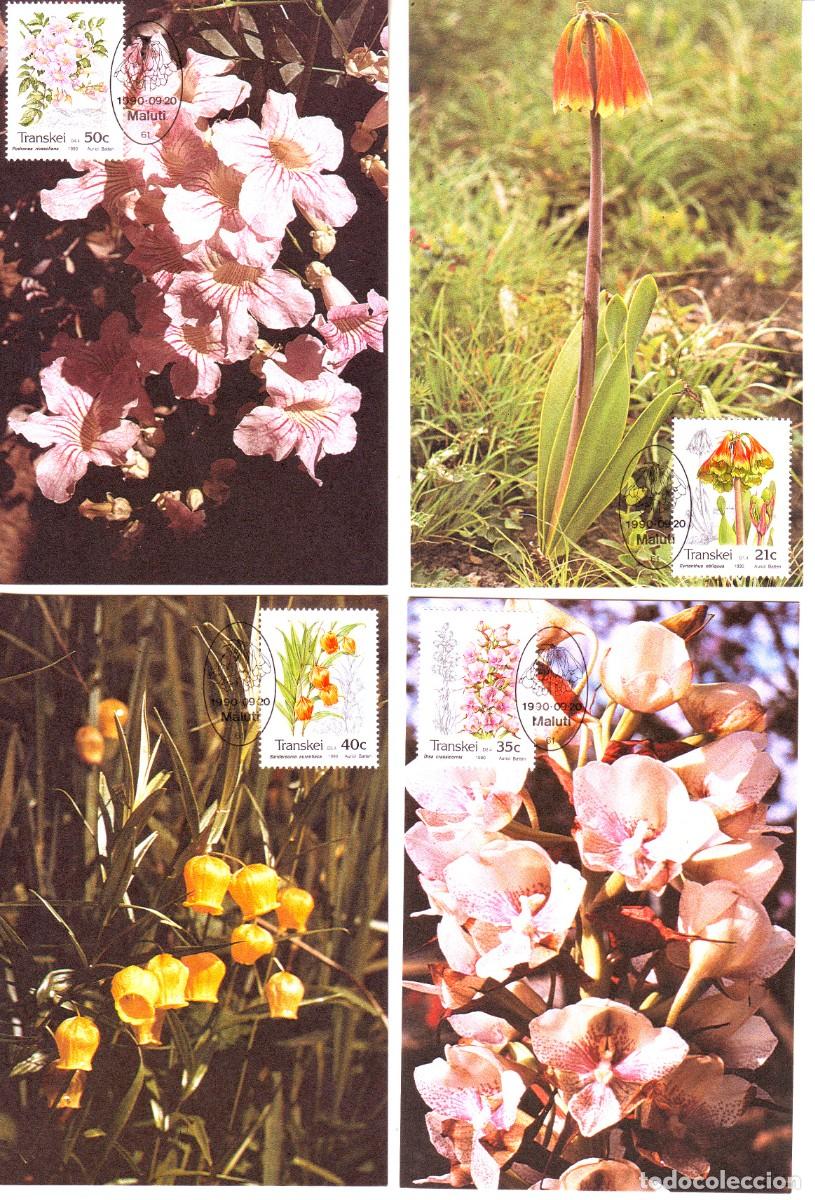Sellos: TARJETAS TRANSKEI PLANTAS - Foto 1