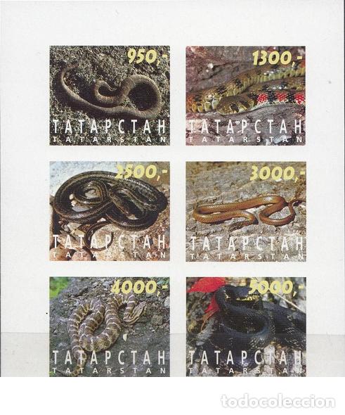 Briefmarken: TATARSTAN 1997 SHEET MNH IMPERF FAUNA SNAKES SERPIENTES SERPENTES SCHLANGEN SERPENTS REPTILES