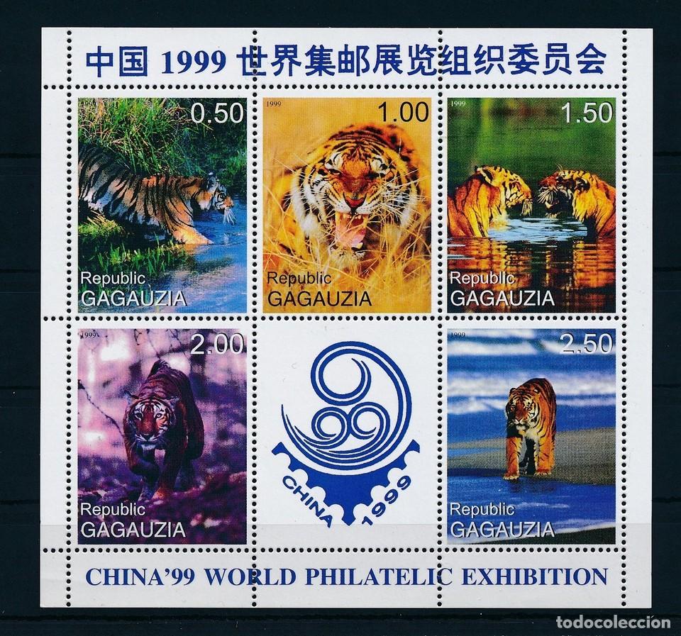 Briefmarken: GAGAUZIA 1999 SHEET MNH EXPO CHINA FAUNA MAMIFEROS TIGERS TIGRES RAUBKATZEN FELINOS FELINES WILDLIFE