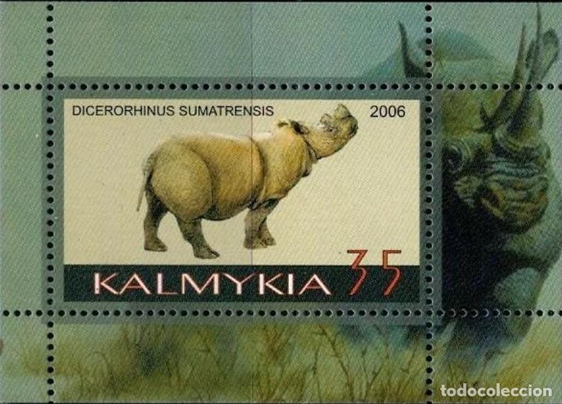 Selos: KALMYKIA 2006 SHEET MNH FAUNA MAMIFEROS RHINOCEROS RHINOS RINOCERONTES RINOCERONTI WILDLIFE