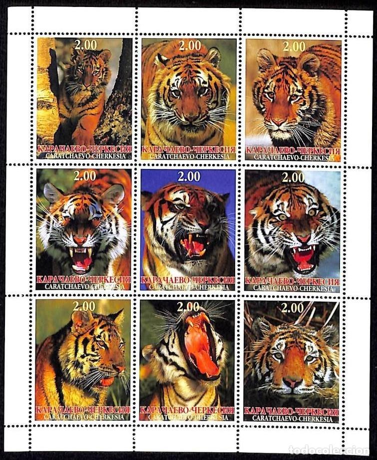 Sellos: KARACHAY CHERKESSIA 1999 SHEET MNH FAUNA MAMIFEROS TIGERS TIGRES RAUBKATZEN FELINOS FELINES WILDLIFE