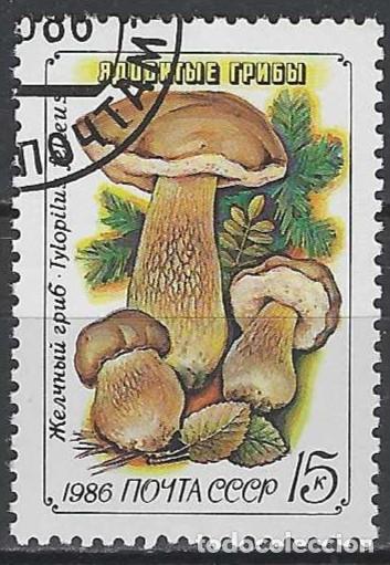 Sellos: UNI&Oacute;N SOVI&Eacute;TICA 1986 - FLORA, SETAS - USADO - Foto 1