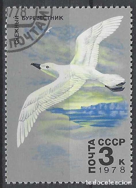 Sellos: UNI&Oacute;N SOVI&Eacute;TICA 1978 - FAUNA &Aacute;RTICA, PETREL N&Iacute;VEO - USADO