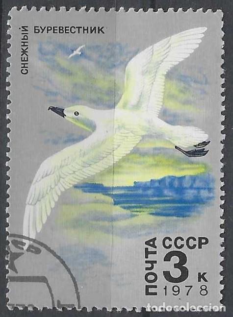 Timbres: UNIÓN SOVIÉTICA 1978 - FAUNA ÁRTICA, PETREL NÍVEO - USADO