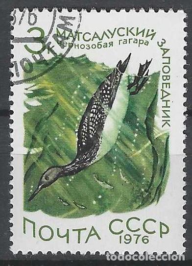 Sellos: UNI&Oacute;N SOVI&Eacute;TICA 1976 - FAUNA, AVES ACU&Aacute;TICAS - USADO
