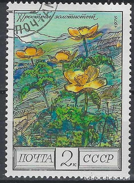 Sellos: UNI&Oacute;N SOVI&Eacute;TICA 1976 - FLORES DEL CAUCASO - USADO