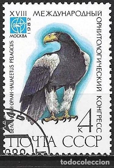 Sellos: Rusia ( URSS ) 1982 - Mi 5182 - YT 4914 - Ave rapaz : &Aacute;guila marina