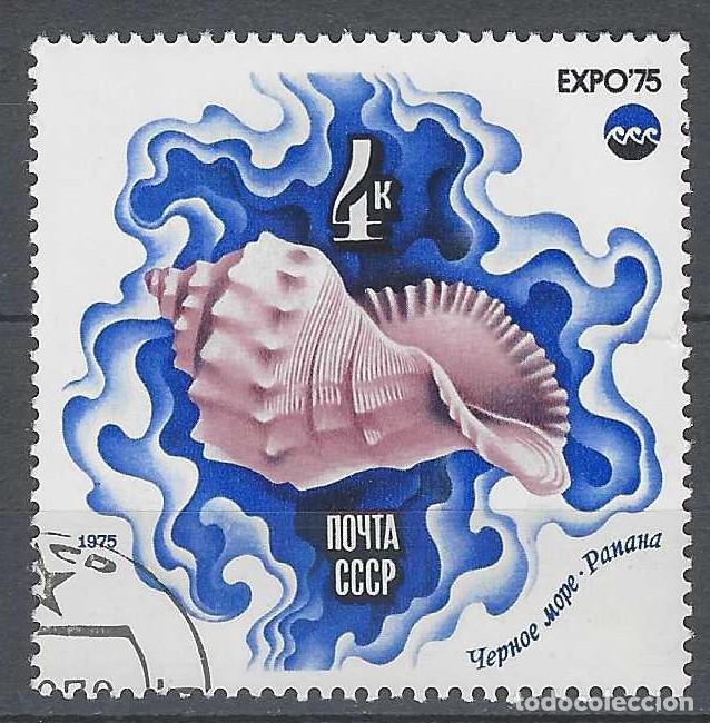 Sellos: UNI&Oacute;N SOVI&Eacute;TICA 1975 - EL MAR Y SU FUTURO, CARACOLA MARINA - USADO