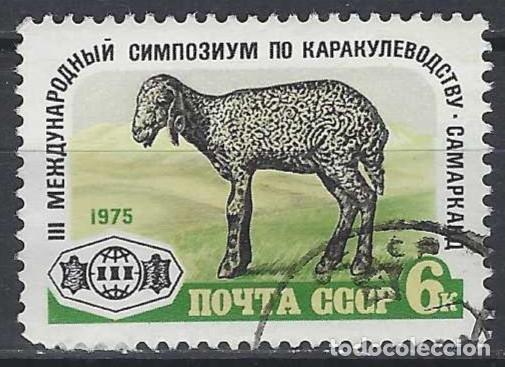 Sellos: UNI&Oacute;N SOVI&Eacute;TICA 1975 - 3&ordm; SIMPOSIO INTERN. SOBRE OVEJAS DE ASTRKAN, SAMARKANDA - USADO