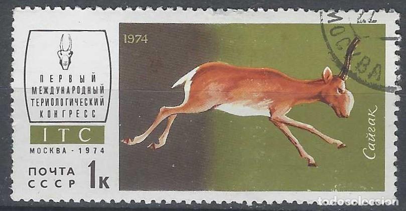 Sellos: UNI&Oacute;N SOVI&Eacute;TICA 1974 - FAUNA - USADO