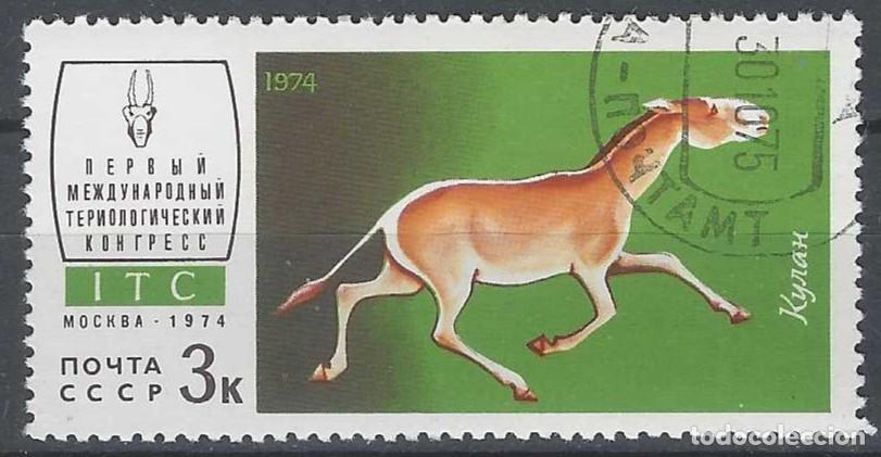 Sellos: UNI&Oacute;N SOVI&Eacute;TICA 1974 - FAUNA - USADO