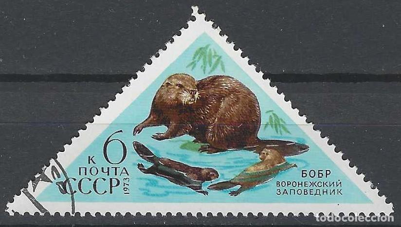 Sellos: UNI&Oacute;N SOVI&Eacute;TICA 1973 - FAUNA, CASTOR - USADO