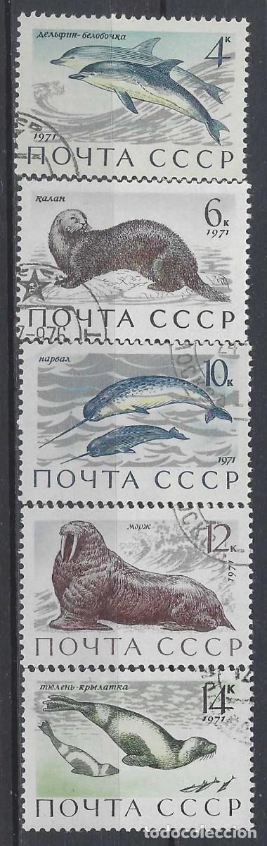 Sellos: UNI&Oacute;N SOVI&Eacute;TICA 1971 - FAUNA MARINA, S.COMPLETA - USADOS