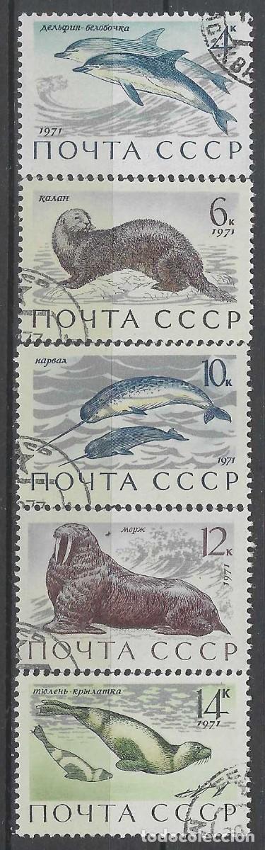 Sellos: UNI&Oacute;N SOVI&Eacute;TICA 1971 - FAUNA MARINA, S.COMPLETA - USADOS