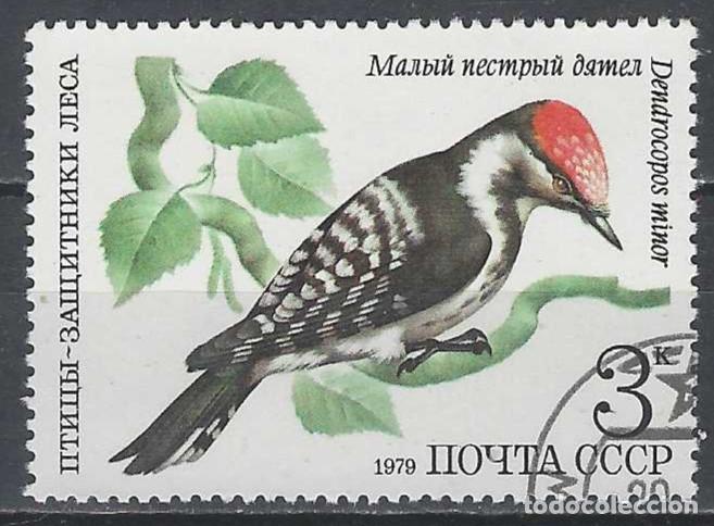 Timbres: UNI&Oacute;N SOVI&Eacute;TICA 1979 - FAUNA, P&Aacute;JAROS - USADO