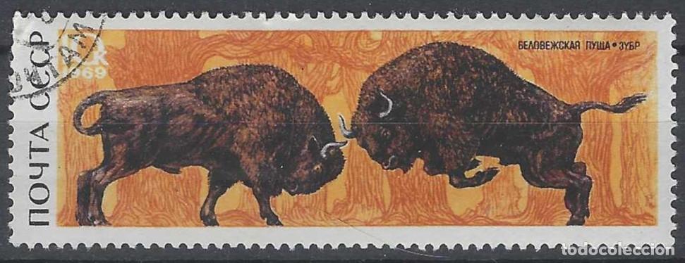 Sellos: UNI&Oacute;N SOVI&Eacute;TICA 1969 - FAUNA, BISONTE - USADO