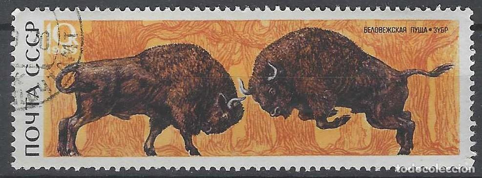 Sellos: UNI&Oacute;N SOVI&Eacute;TICA 1969 - FAUNA, BISONTE - USADO