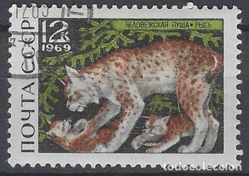 Sellos: UNI&Oacute;N SOVI&Eacute;TICA 1969 - FAUNA, LINCE - USADO
