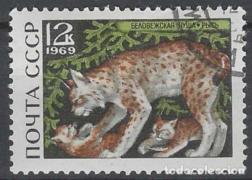 Sellos: UNI&Oacute;N SOVI&Eacute;TICA 1969 - FAUNA, LINCE - USADO