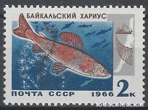 Sellos: UNI&Oacute;N SOVI&Eacute;TICA 1966 - FAUNA, PECES DEL LAGO BAIKAL, T&Iacute;MALO &Aacute;RTICO - MNH**