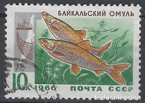 Sellos: UNI&Oacute;N SOVI&Eacute;TICA 1966 - FAUNA, PECES DEL LAGO BAIKAL, SALM&Oacute;N MIGRATORIO - USADO