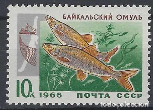 Sellos: UNI&Oacute;N SOVI&Eacute;TICA 1966 - FAUNA, PECES DEL LAGO BAIKAL, SALM&Oacute;N MIGRATORIO - MNH**