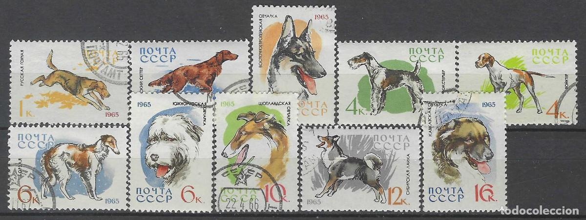 Sellos: UNI&Oacute;N SOVI&Eacute;TICA 1965 - FAUNA, PERROS, S.COMPLETA - USADOS
