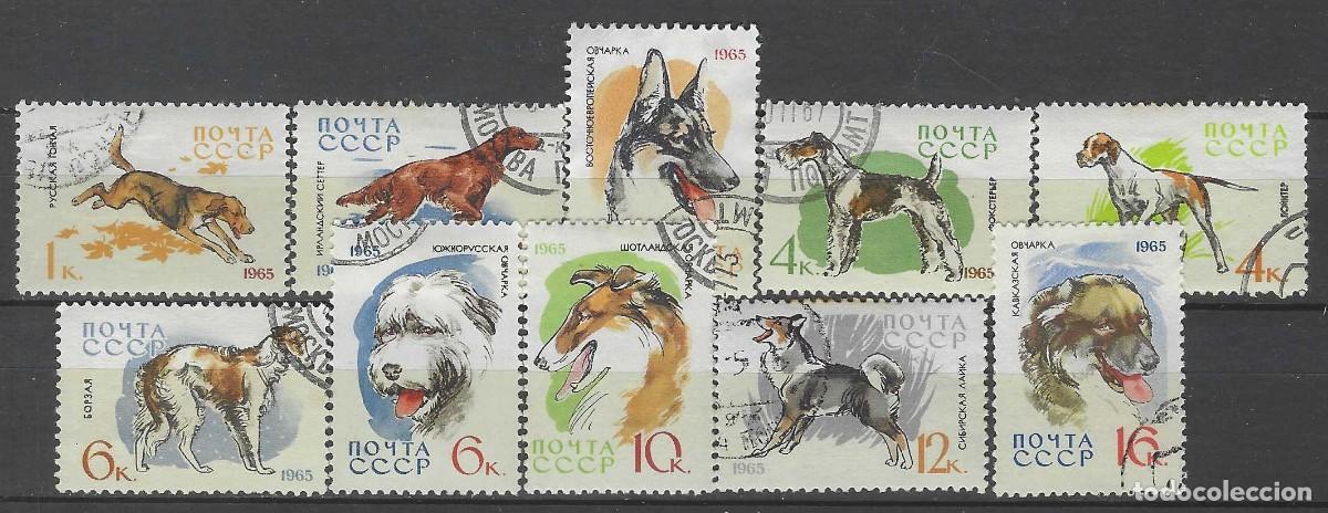 Sellos: UNI&Oacute;N SOVI&Eacute;TICA 1965 - FAUNA, PERROS, S.COMPLETA - USADOS