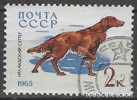 Sellos: UNI&Oacute;N SOVI&Eacute;TICA 1965 - FAUNA, PERROS, SETTER - USADO