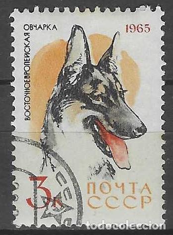 Sellos: UNI&Oacute;N SOVI&Eacute;TICA 1965 - FAUNA, PERROS, PASTOR ALEM&Aacute;N - USADO