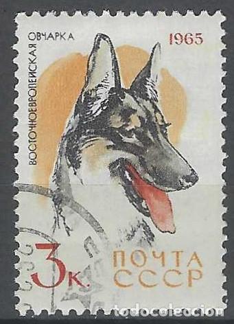 Sellos: UNI&Oacute;N SOVI&Eacute;TICA 1965 - FAUNA, PERROS, PASTOR ALEM&Aacute;N - USADO