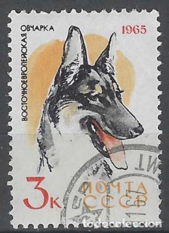 Sellos: UNI&Oacute;N SOVI&Eacute;TICA 1965 - FAUNA, PERROS, PASTOR ALEM&Aacute;N - USADO