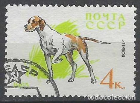 Sellos: UNI&Oacute;N SOVI&Eacute;TICA 1965 - FAUNA, PERROS, POINTER - USADO - Foto 1