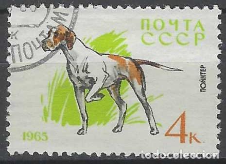 Sellos: UNI&Oacute;N SOVI&Eacute;TICA 1965 - FAUNA, PERROS, POINTER - USADO - Foto 1