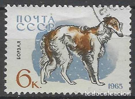 Sellos: UNI&Oacute;N SOVI&Eacute;TICA 1965 - FAUNA, PERROS, BORZAYA O GALGO RUSO - USADO