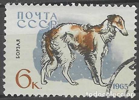 Sellos: UNI&Oacute;N SOVI&Eacute;TICA 1965 - FAUNA, PERROS, BORZAYA O GALGO RUSO - USADO
