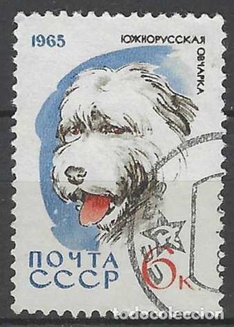 Sellos: UNI&Oacute;N SOVI&Eacute;TICA 1965 - FAUNA, PERROS, PASTOR RUSO - USADO
