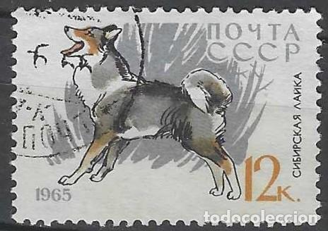 Sellos: UNI&Oacute;N SOVI&Eacute;TICA 1965 - FAUNA, PERROS, HUSKY SIBERIANO - USADO