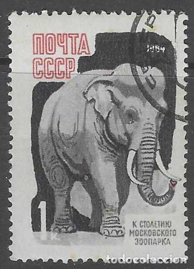Sellos: UNI&Oacute;N SOVI&Eacute;TICA 1964 - FAUNA - USADO