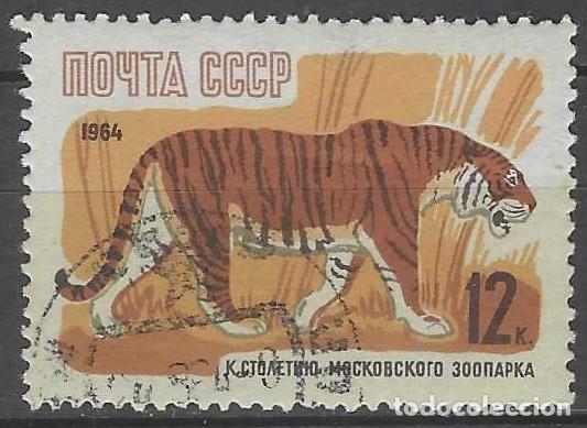 Sellos: UNI&Oacute;N SOVI&Eacute;TICA 1964 - FAUNA, TIGRE - USADO