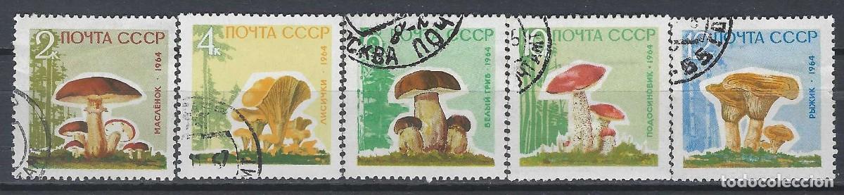 Sellos: UNI&Oacute;N SOVI&Eacute;TICA 1964 - FLORA, SETAS, S.COMPLETA - USADOS