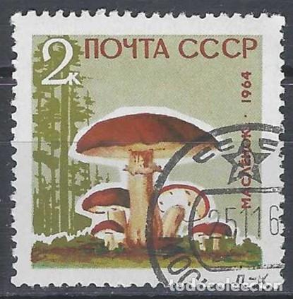 Sellos: UNI&Oacute;N SOVI&Eacute;TICA 1964 - FLORA, SETAS - USADO