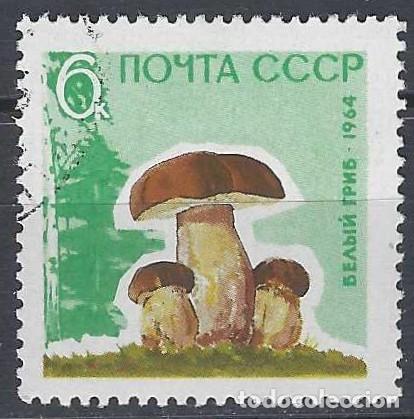 Sellos: UNI&Oacute;N SOVI&Eacute;TICA 1964 - FLORA, SETAS, N&Iacute;SCARO - USADO