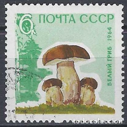 Sellos: UNI&Oacute;N SOVI&Eacute;TICA 1964 - FLORA, SETAS, N&Iacute;SCARO - USADO