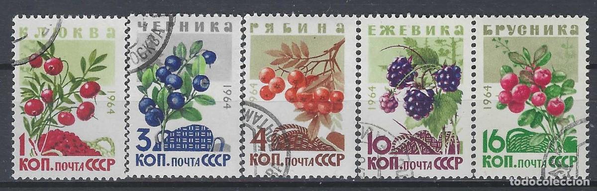 Sellos: UNI&Oacute;N SOVI&Eacute;TICA 1964 - FLORA, BAYAS, S.COMPLETA - USADOS