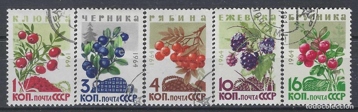 Sellos: UNI&Oacute;N SOVI&Eacute;TICA 1964 - FLORA, BAYAS, S.COMPLETA - USADOS