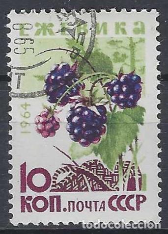 Sellos: UNI&Oacute;N SOVI&Eacute;TICA 1964 - FLORA, BAYAS, MORAS - USADO