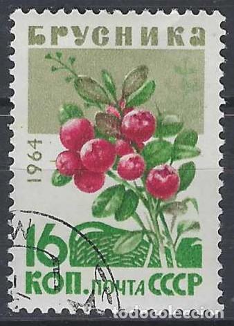 Sellos: UNI&Oacute;N SOVI&Eacute;TICA 1964 - FLORA, BAYAS, AR&Aacute;NDANO SILVESTRE - USADO